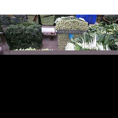 有机食材配送公司_酒楼食材配送_配送内容|各种食材